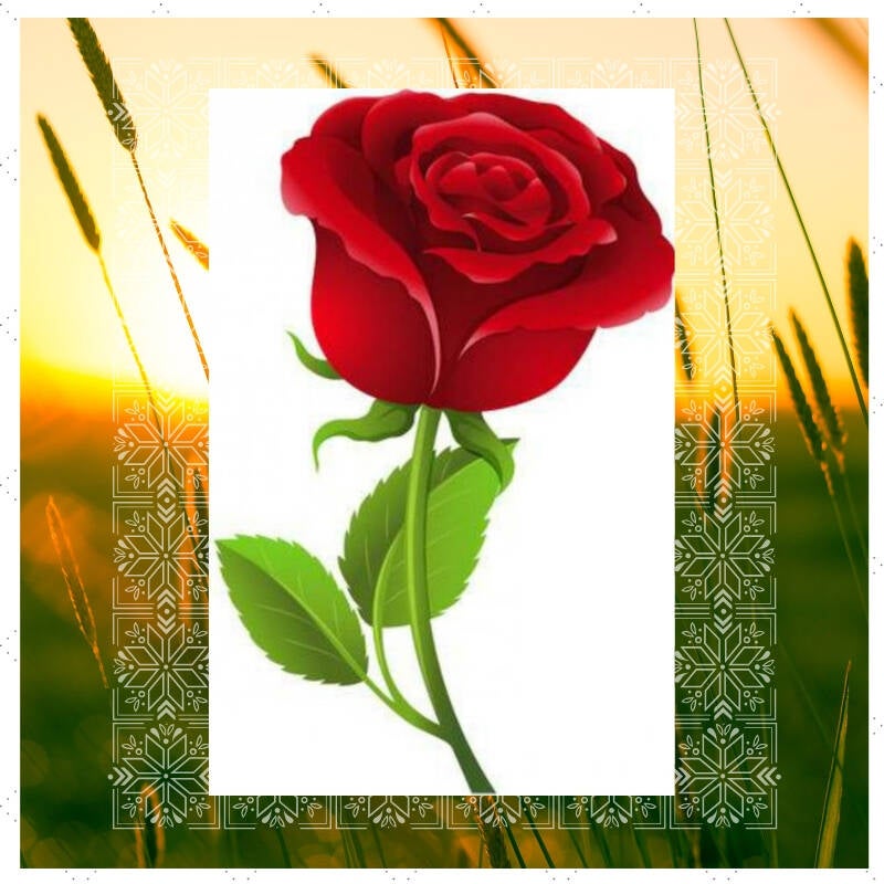 Boek Gevoelens van Kim Torsin.