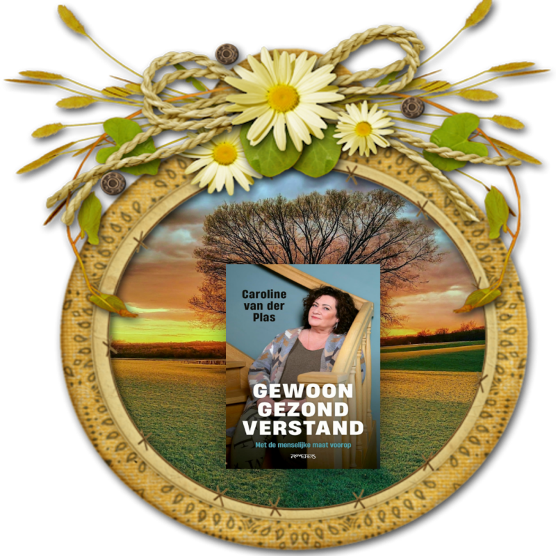 Boek Gewoon gezond verstand van Caroline van der Plas.