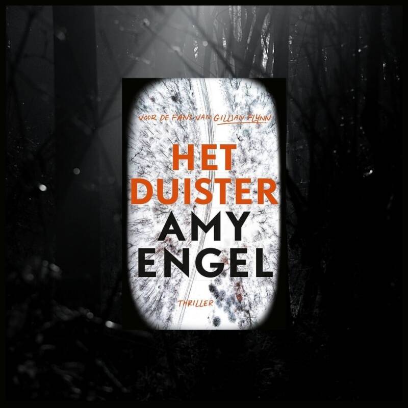 Boek Het duister van Amy Engel.