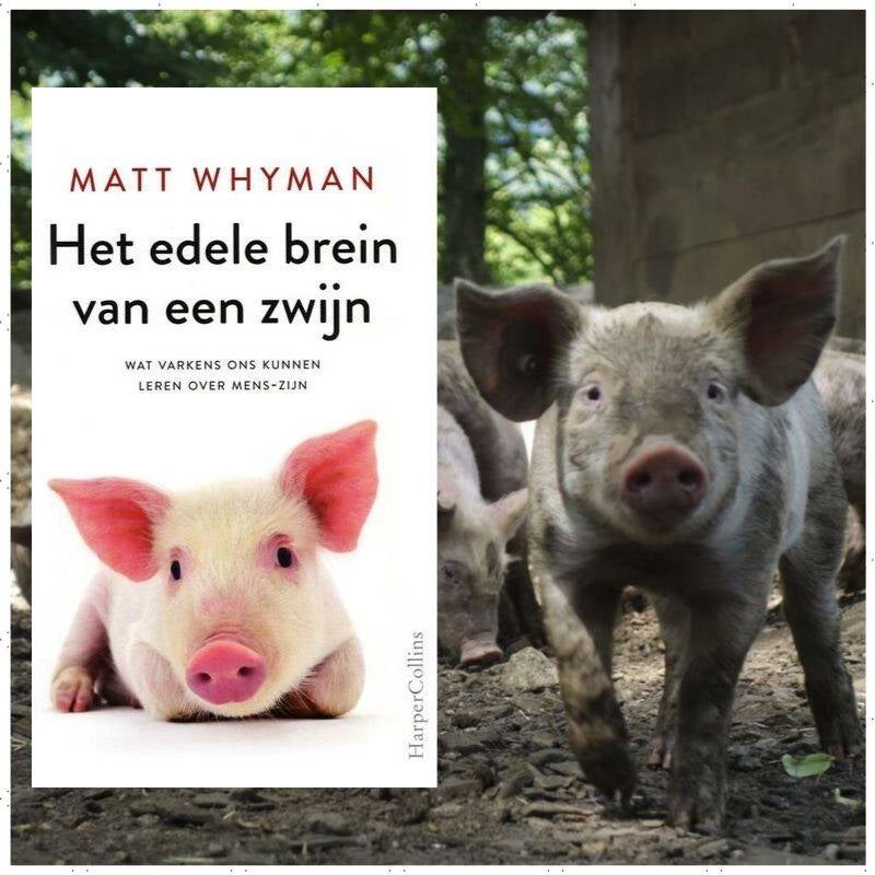 Boek Het edele brein van een zwijn van Matt Whyman.