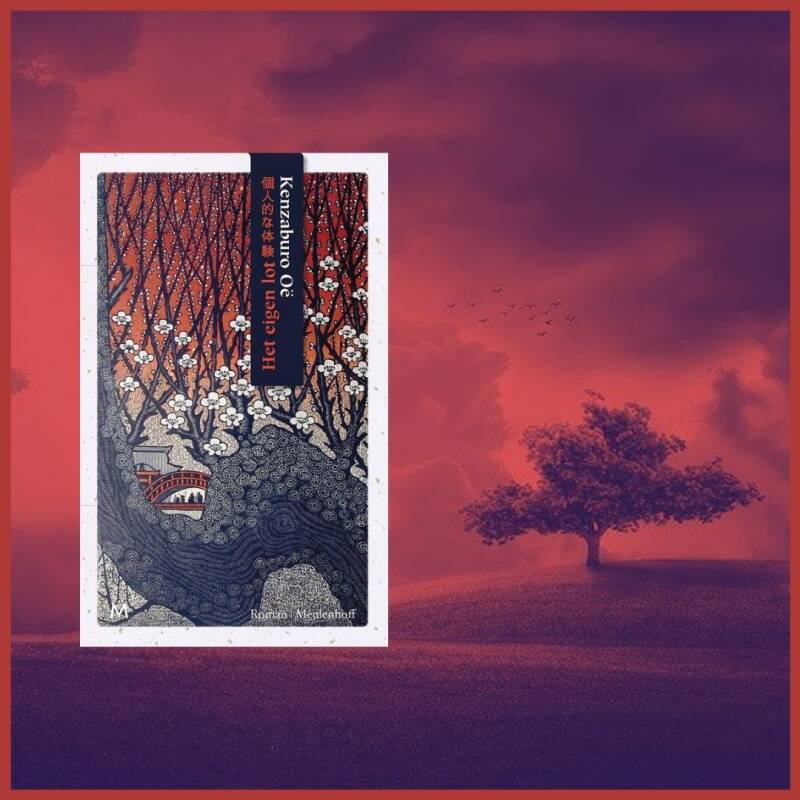 Boek Het eigen lot van Kenzaburo Oë.