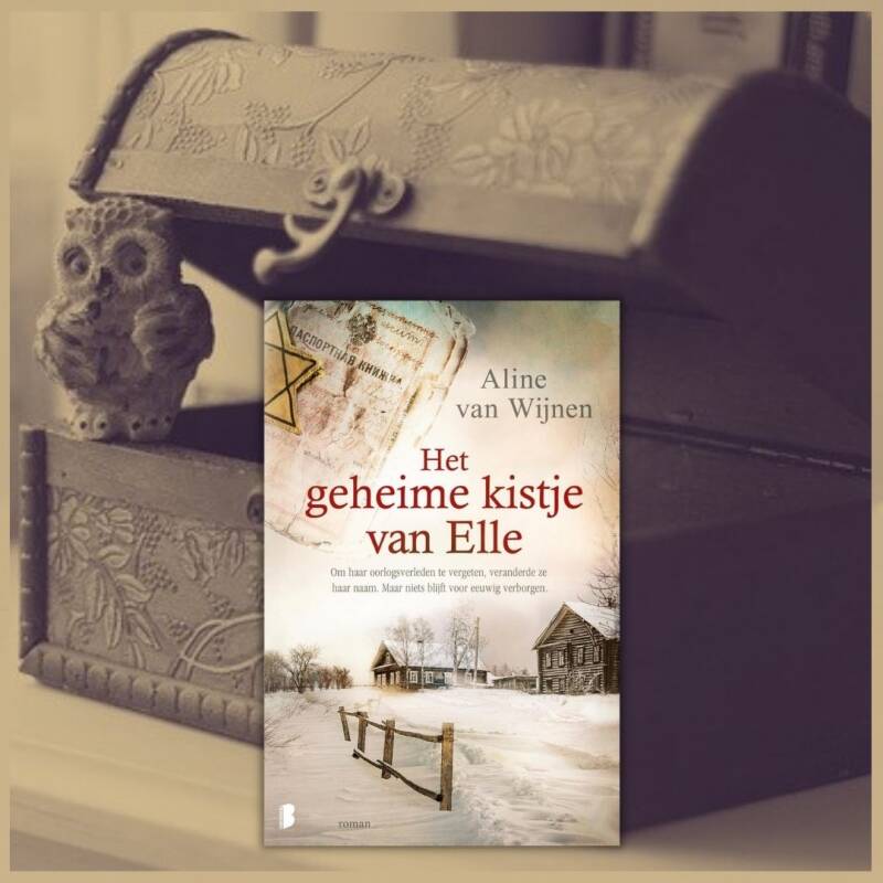 Boek Het geheime kistje van Elle van Aline van Wijnen.