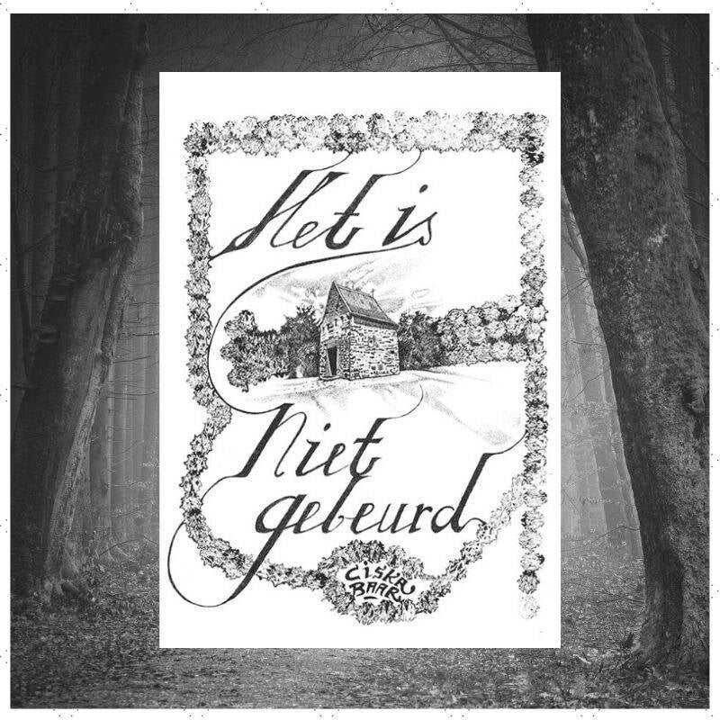 Boek Het is niet gebeurd van Ciska Baar.