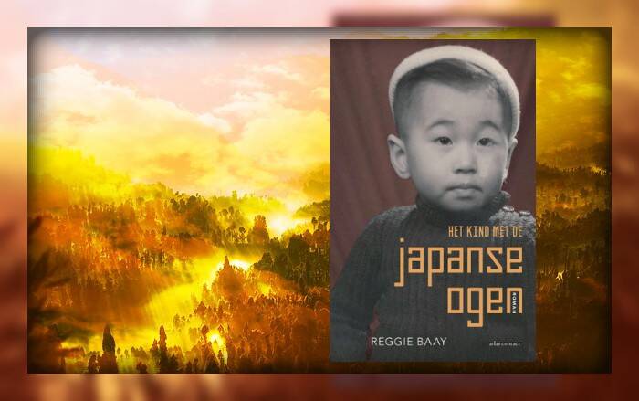 Boek Het kind met de Japanse ogen van Reggie Baay.