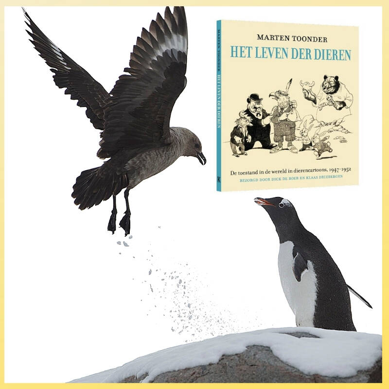 Boek Het leven der dieren van Marten Toonder.