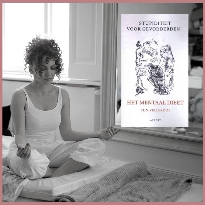 Boek Het mentaal dieet van Tijn Vellekoop.