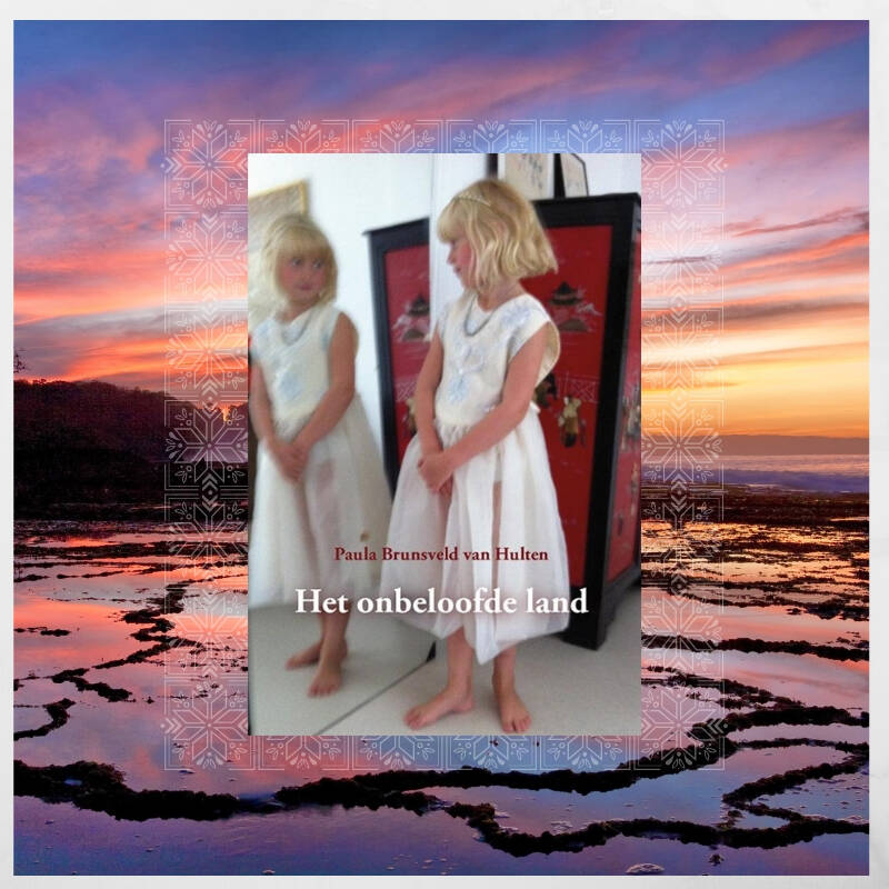 Boek Het onbeloofde land van Paula Brunsveld van Hulten.