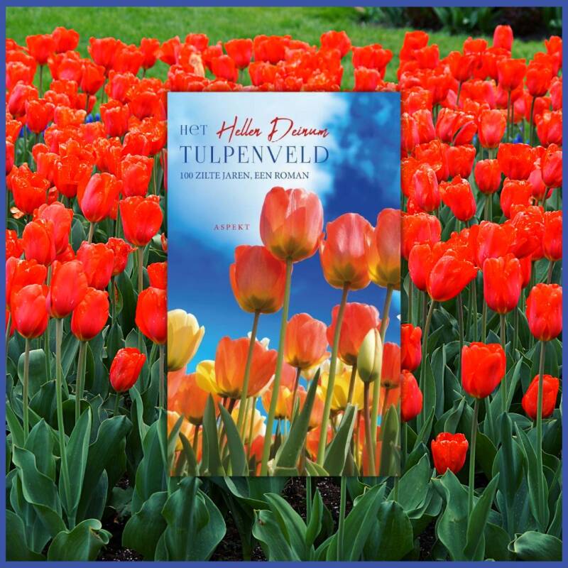 Boek Het tulpenveld van Hellen Deinum.
