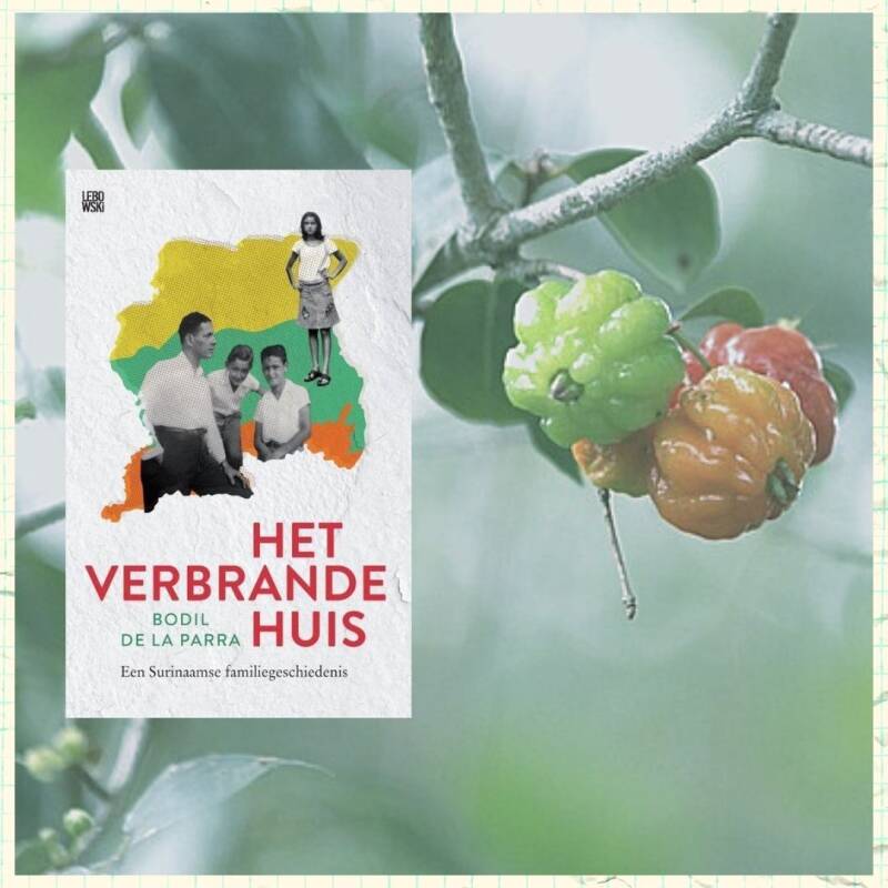 Boek Het verbrande huis van Bodil de la Parra.