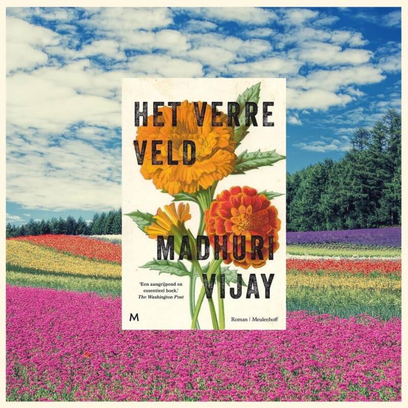 Boek Het verre veld van Madhuri Vijay.