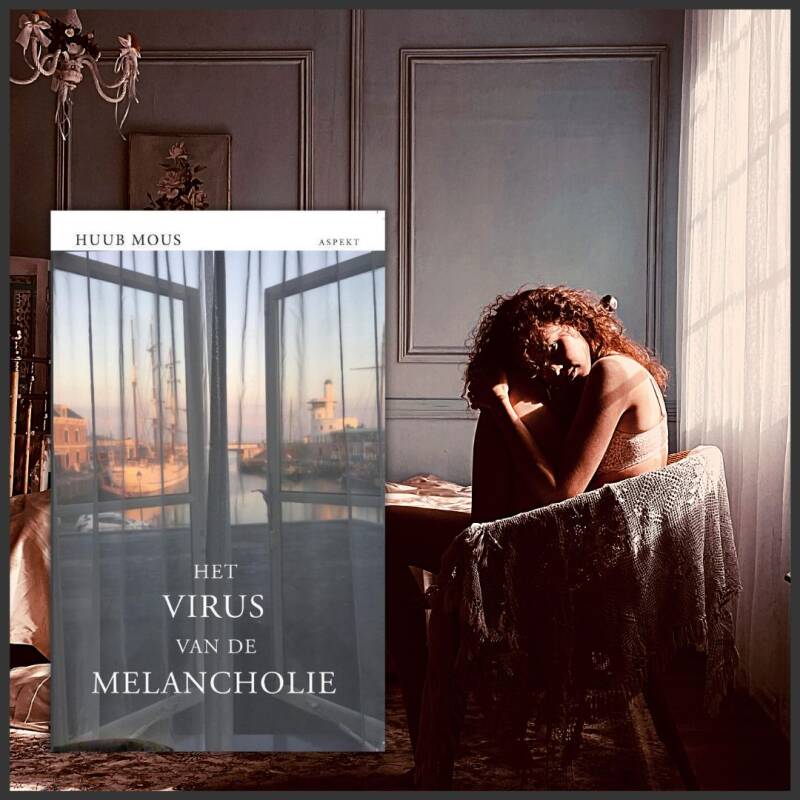 Boek Het virus van de melancholie van Huub Mous.