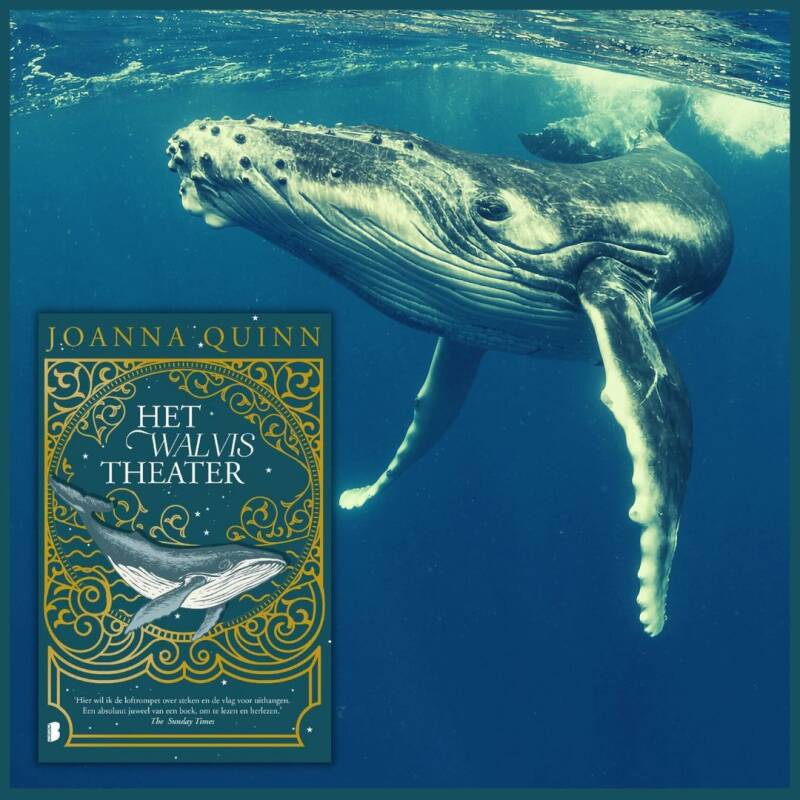 Boek Het walvistheater van Joanna Quinn.