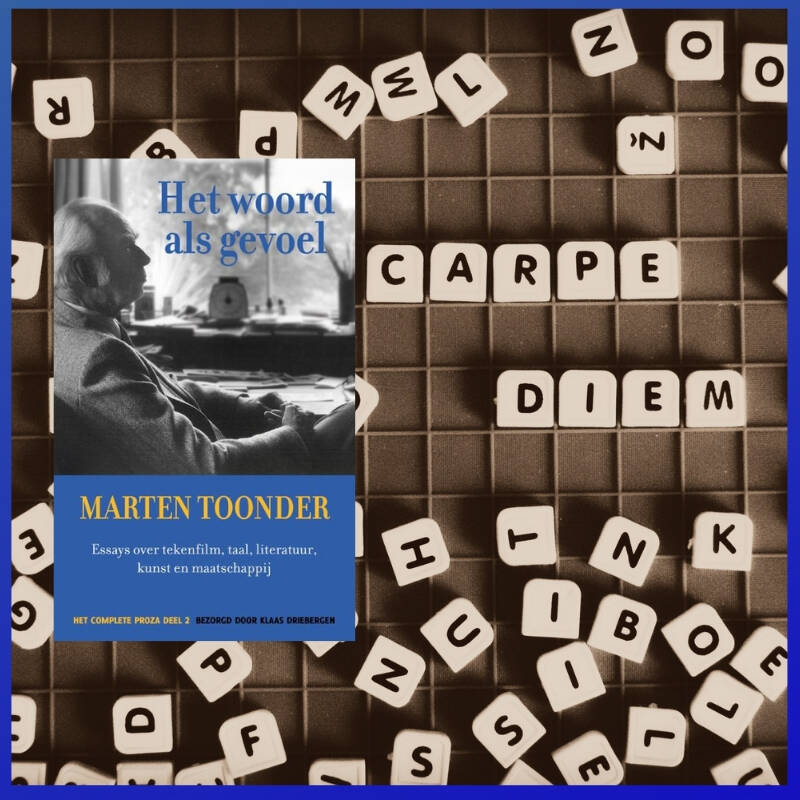 Boek Het woord als gevoel van Marten Toonder.