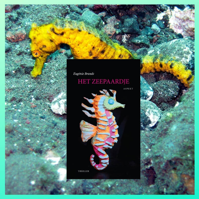 Boek Het zeepaardje van Eugénie Brands.