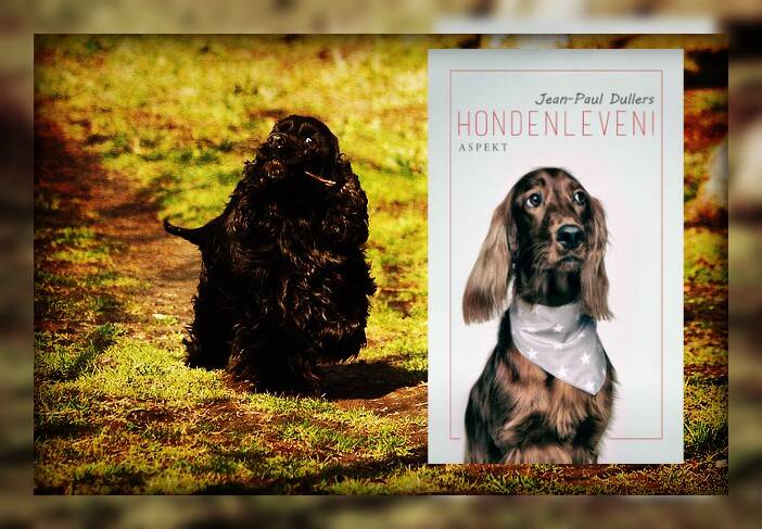 Boek Hondenleven van Jean-Paul Dullers,