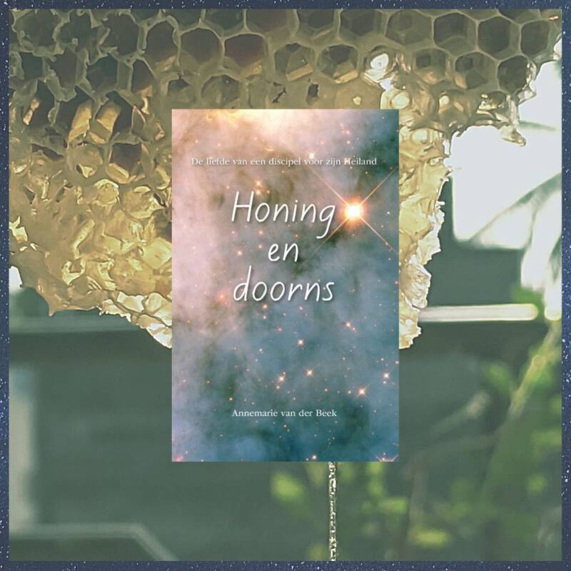 Boek Honing en doorns van Annemarie van der Beek.