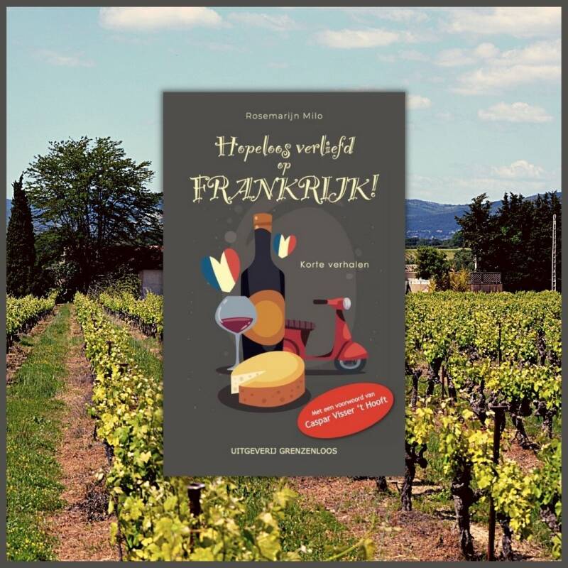 Boek Hopeloos verliefd op Frankrijk! van Rosemarijn Milo.