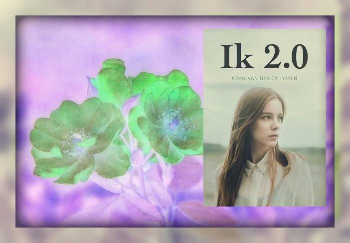 Boek Ik 2.0 van Koen van der Cruyssen.