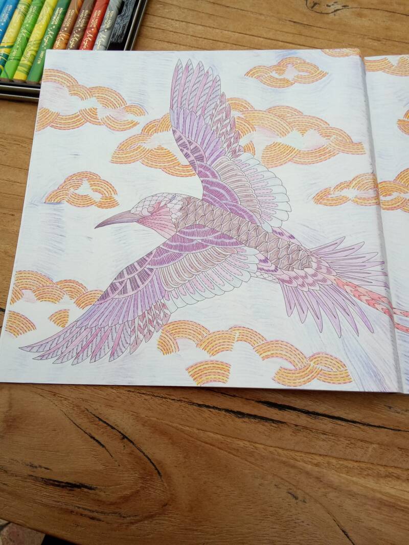 Kleurplaat Red-tailed tropic bird uit Island escape van Millie Marotta.