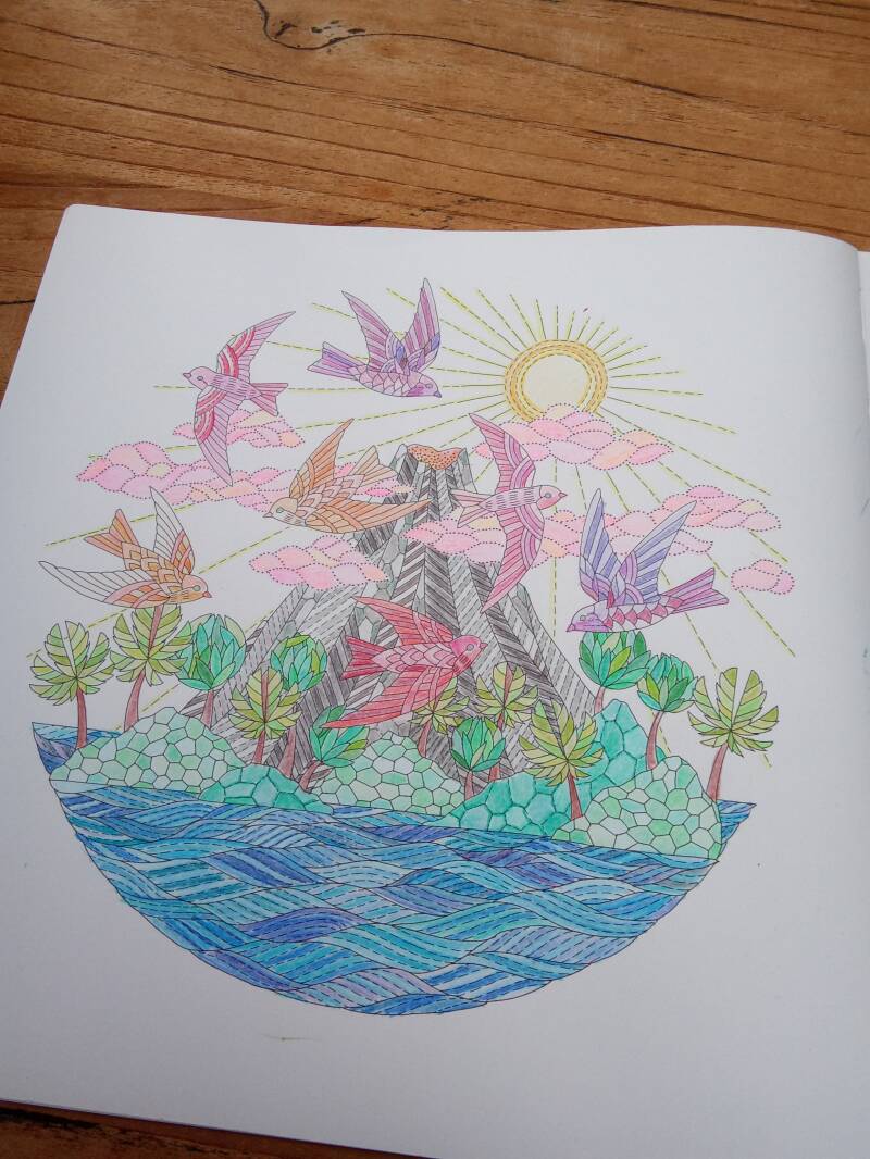 Kleurplaat Cubaanse palmgierzwaluwen uit Briljante beesten van Millie Marotta.