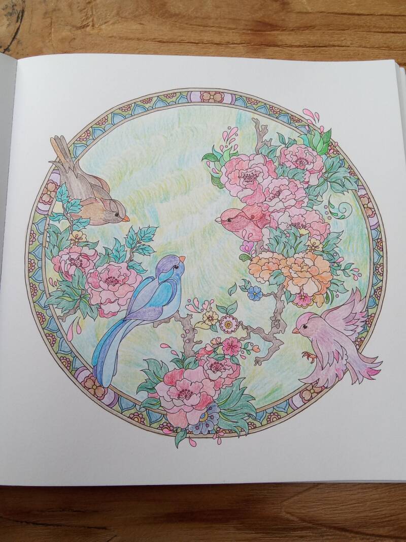 Kleurplaat vogeltjes uit Masja's mandala's.
