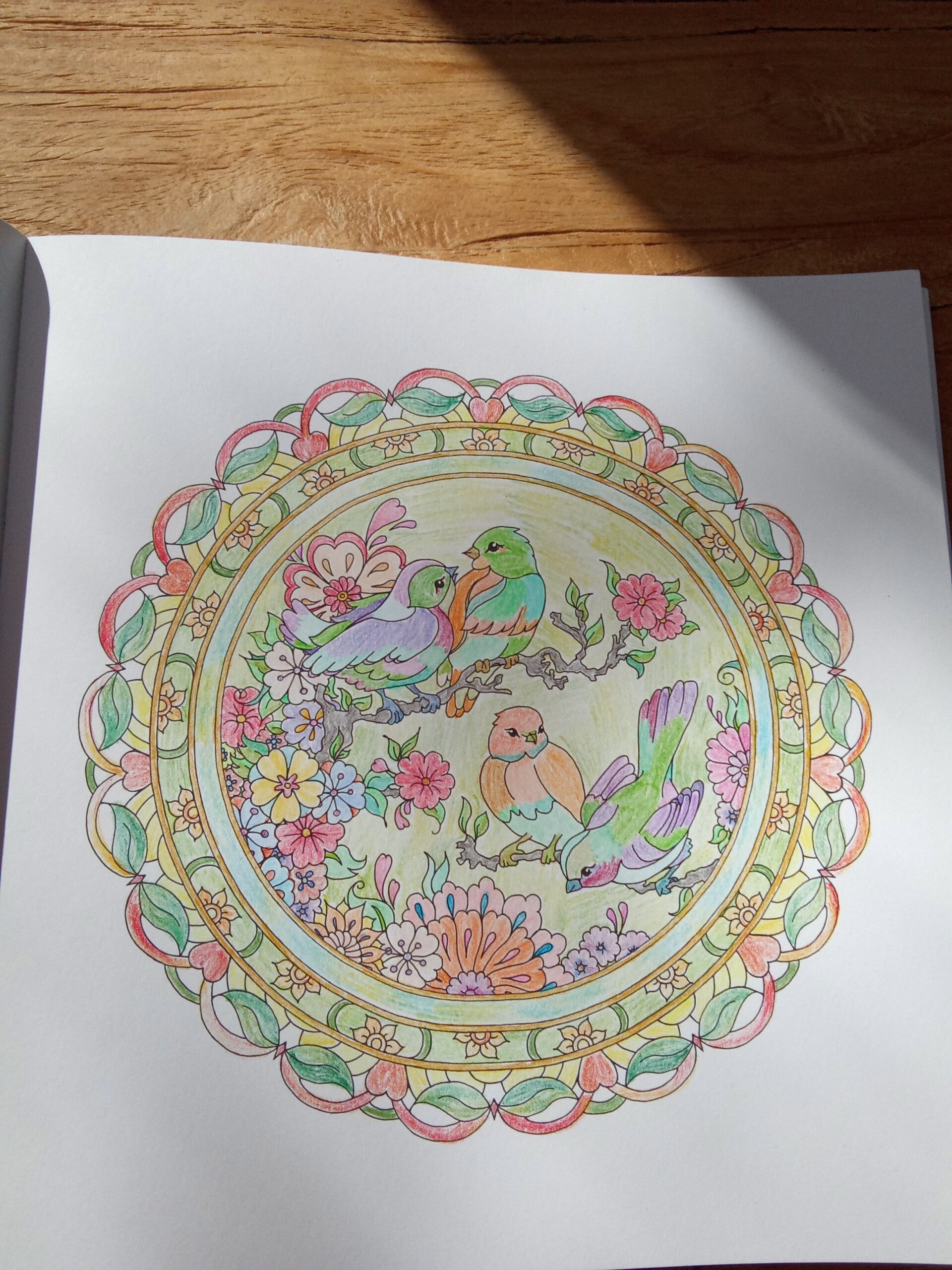 Kleurplaat vogels uit Masja's mandala's spring.