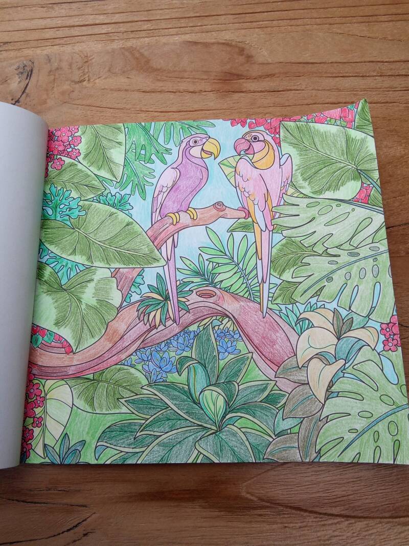 Kleurplaat papegaaien uit Tropical birds.
