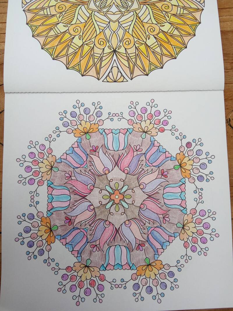 Kleurplaat bloemen uit Mandala fun.