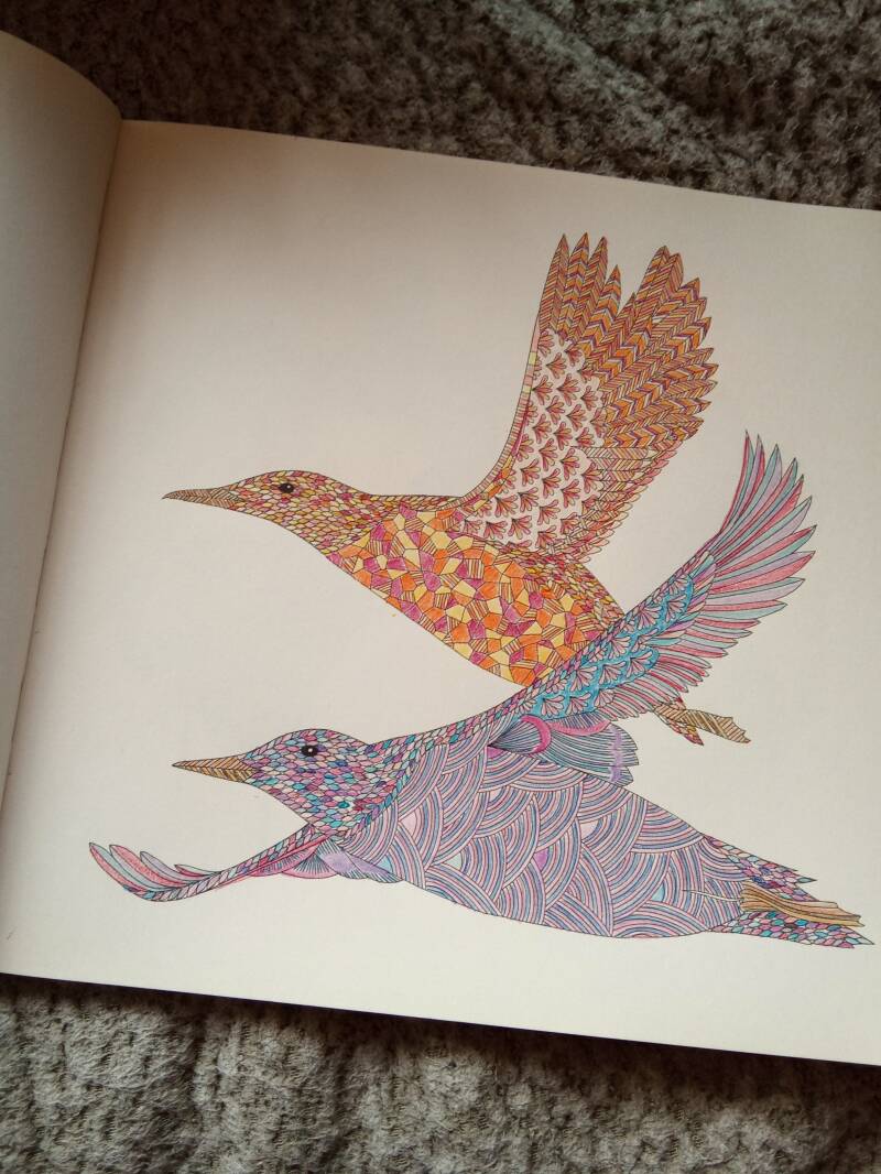 Kleurplaat Vliegende vogels uit Dierenrijk kleurboek van Millie Marotta.