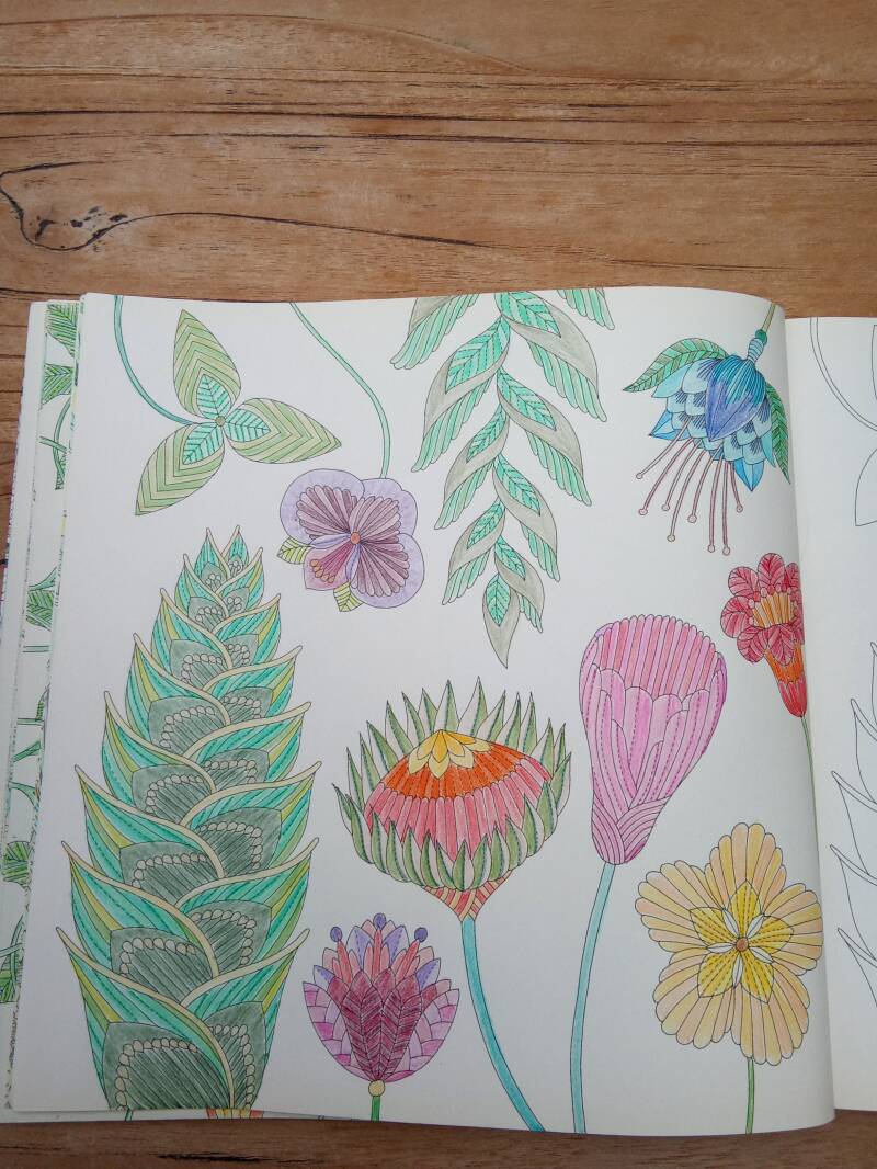 Kleurplaat Bloemen uit Tropisch Paradijs van Millie Marotta.