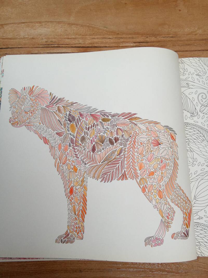 Kleurplaat hyena uit De savanne van Millie Marotta.