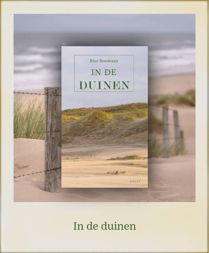 Boek In de duinen van Ries Roowaan.
