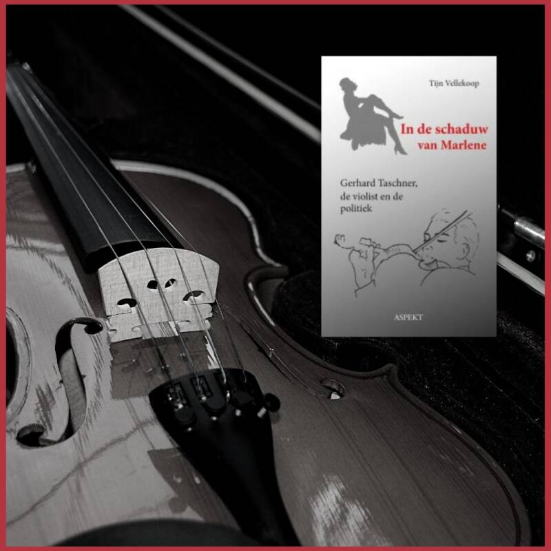 Boek In de schaduw van Marlene van Tijn Vellekoop.