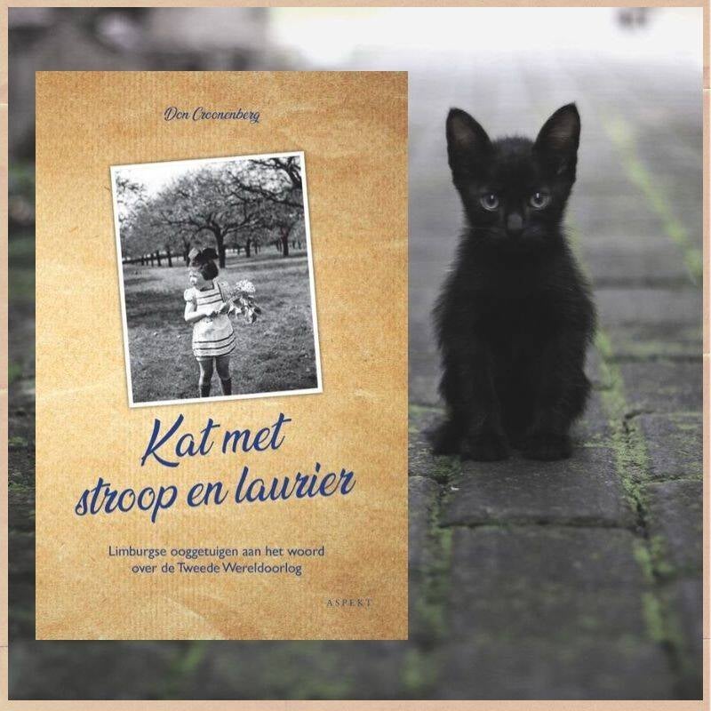 Boek Kat met stroop en laurier van Don Croonenberg.