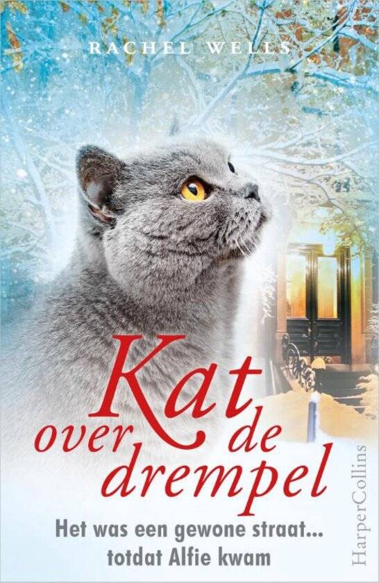 Boek Kat over de drempel van Rachel Wells.