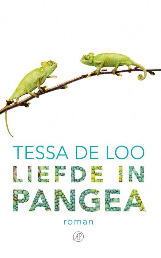 Boek Liefde in Pangea van Tessa de Loo.