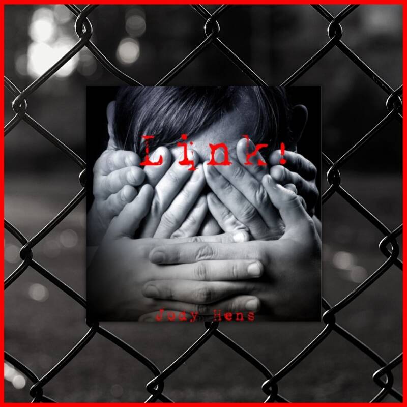 Boek Link! van Jody Hens.