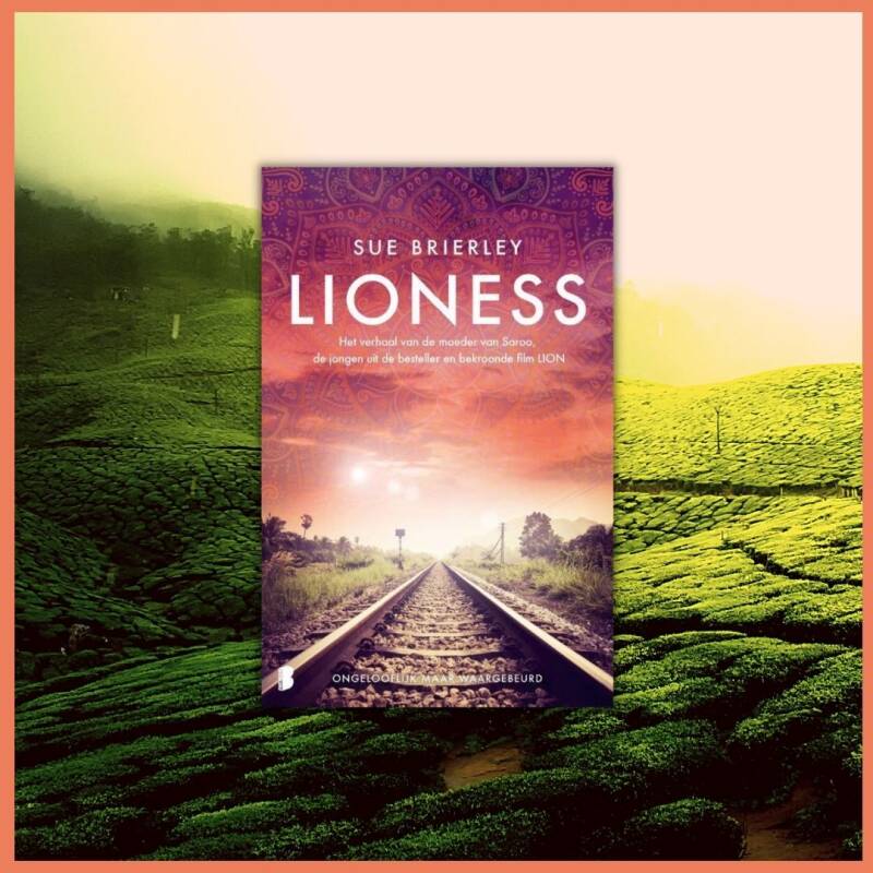 Boek Lioness van Sue Brierley.