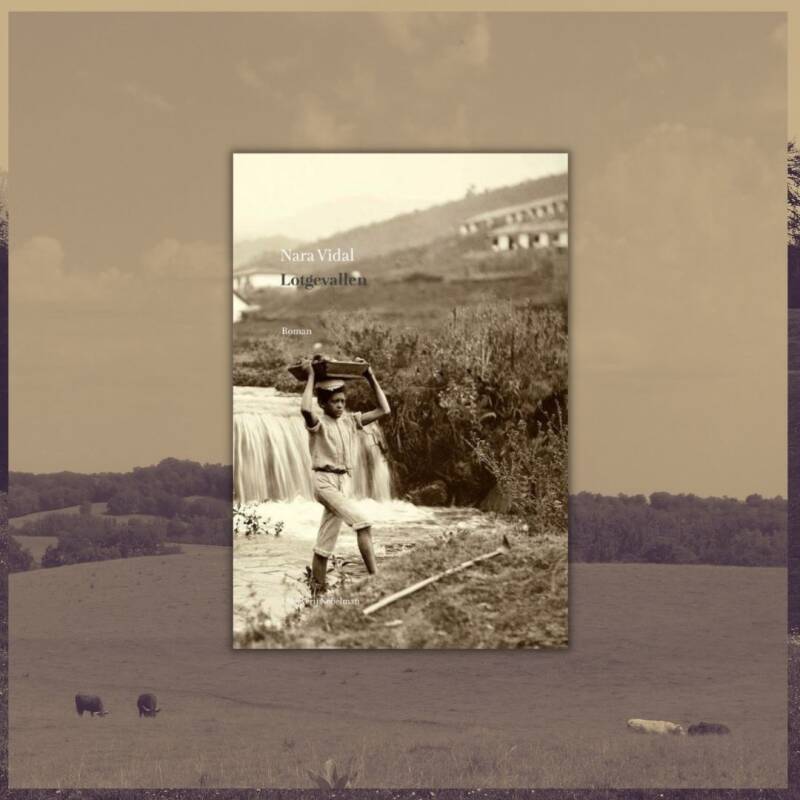 Boek Lotgevallen van Nara Vidal.