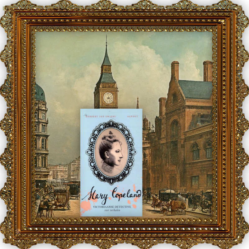 Boek Mary Copeland 6 van Robbert Jan Swiers.