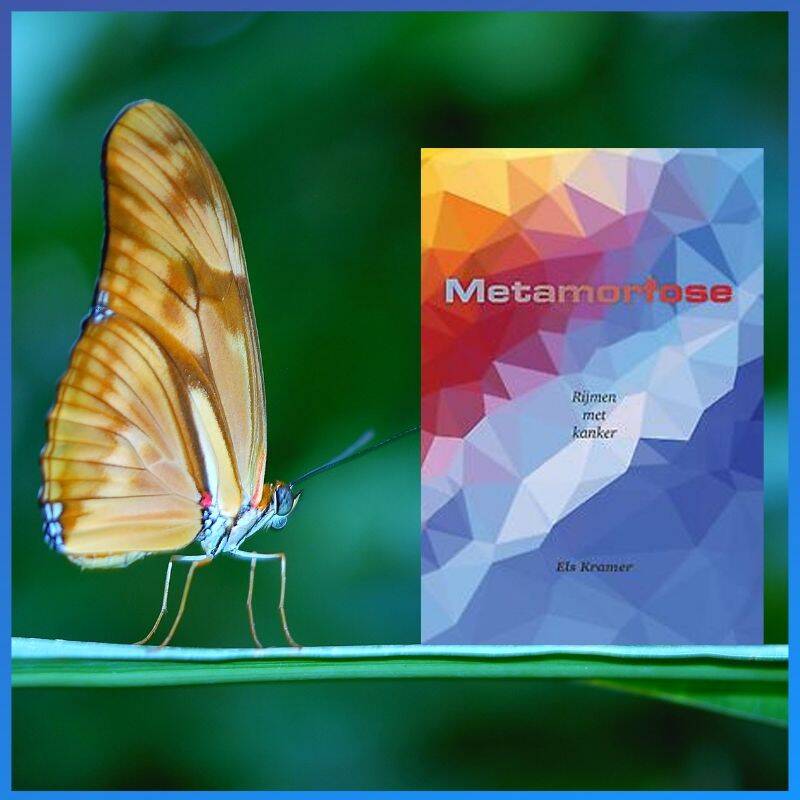 Boek Metamorfose van Els Kramer.