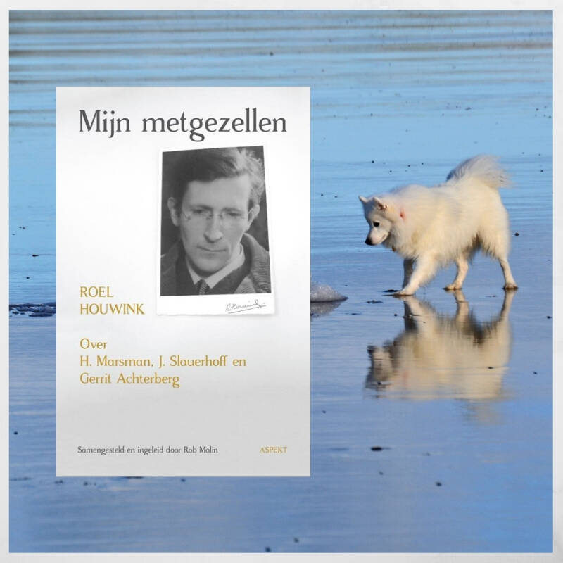 Boek Mijn metgezellen van Roel Houwink.