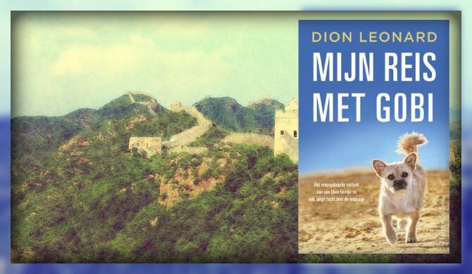 Boek Mijn reis met Gobi van Dion Leonard.