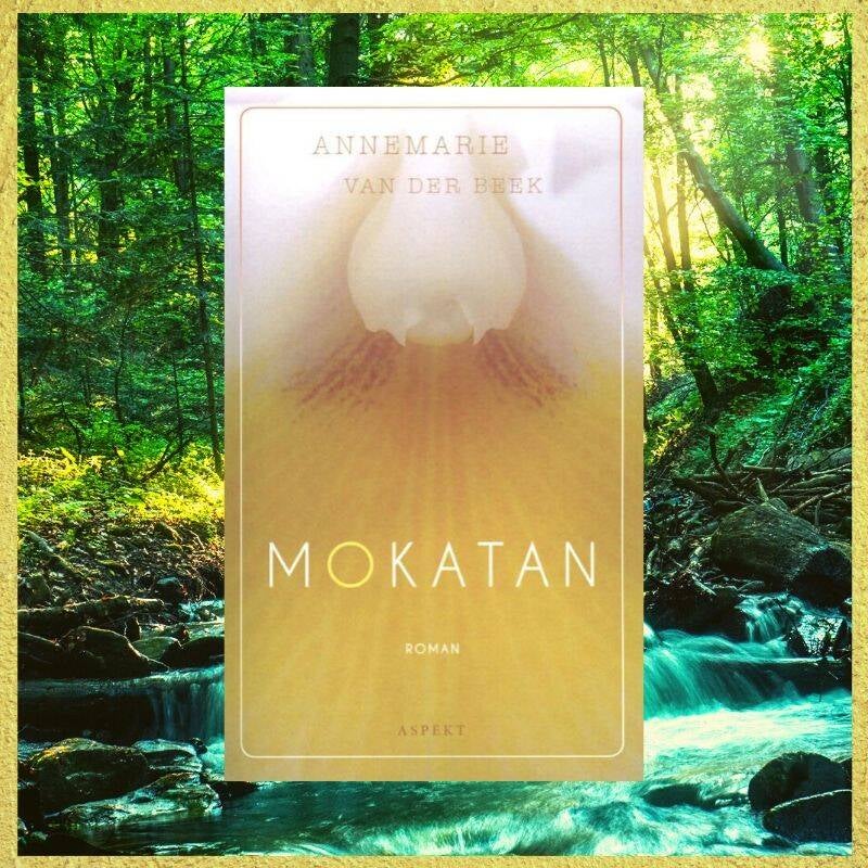 Boek Mokatan van Annemarie van der Beek.