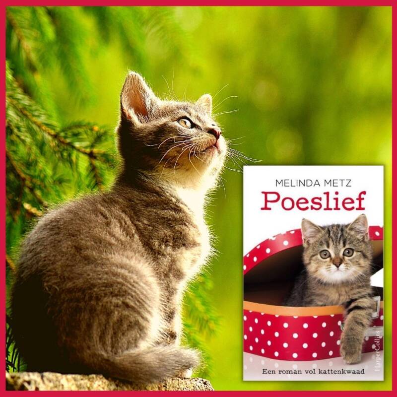 Boek Poeslief van Melinda Metz.