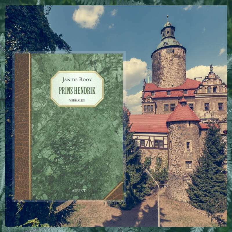 Boek Prins Hendrik van Jan de Rooy.