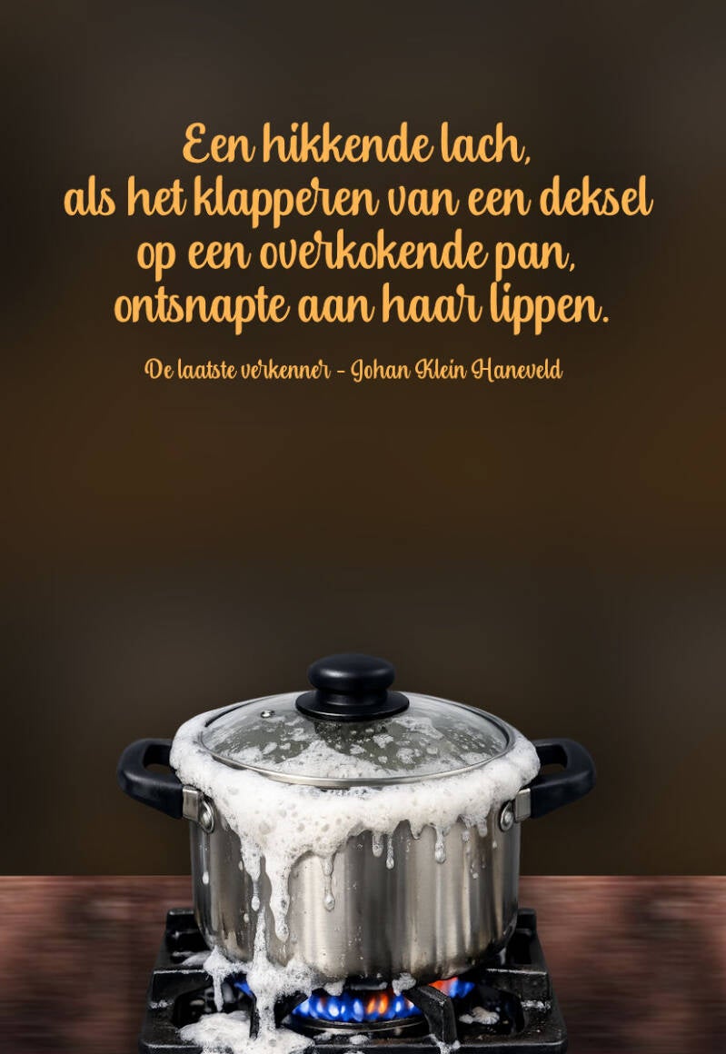 quote-de-laatste-verkenner-johan-klein-haneveld-standard-ekklhf.jpg