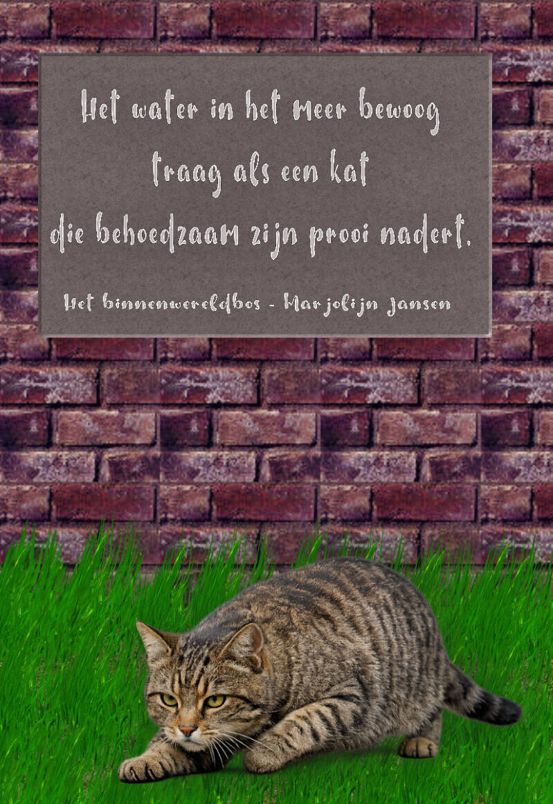 quote-het-binnenwereldbos-marjolijn-jansen-standard-y8a85r.jpg