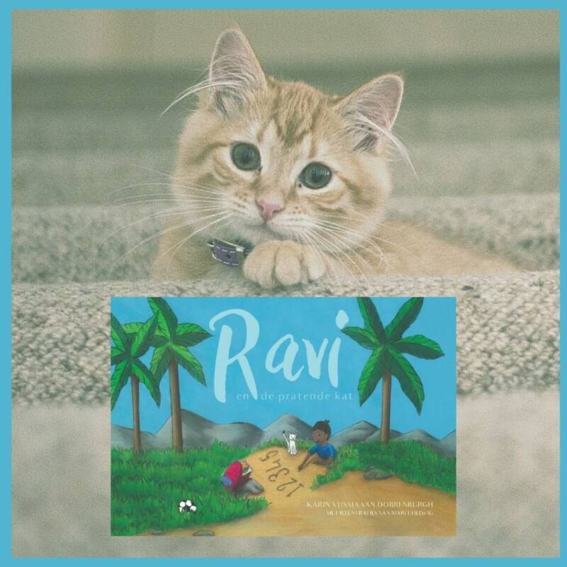 Boek Ravi en de pratende kat van Karin Vijsma-van Dobbenburgh.