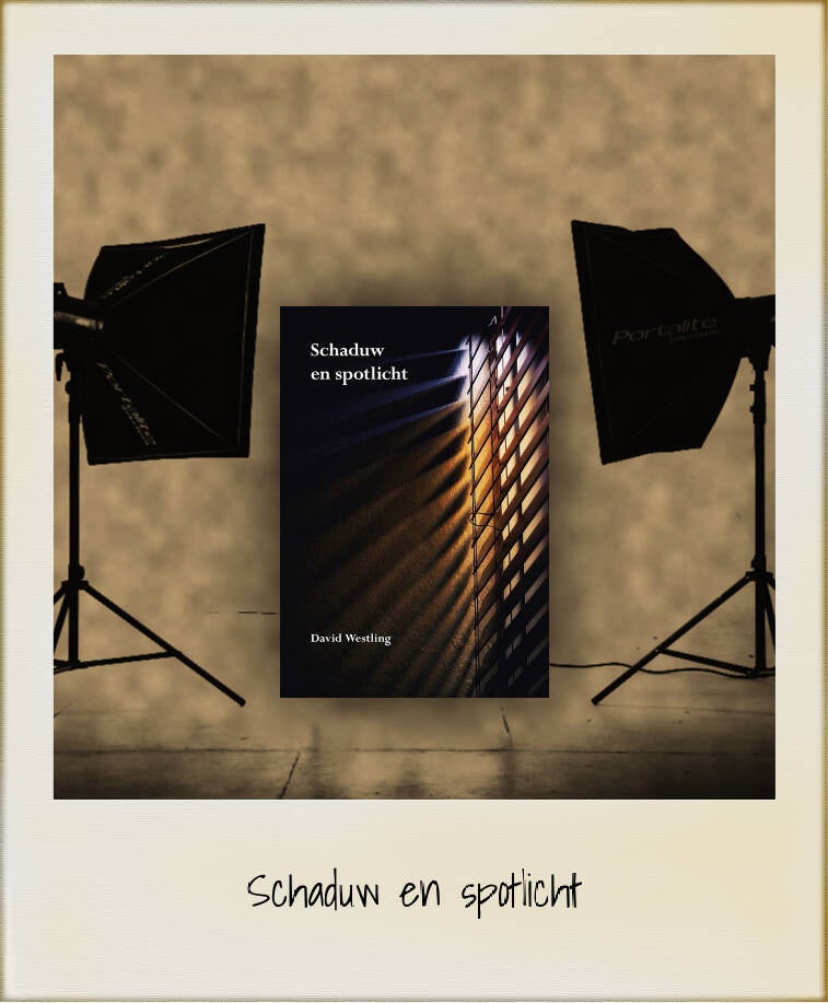 Boek Schaduw en spotlicht van David Westling.